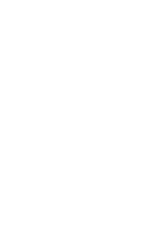 ICS Logo Steinbock weiß
